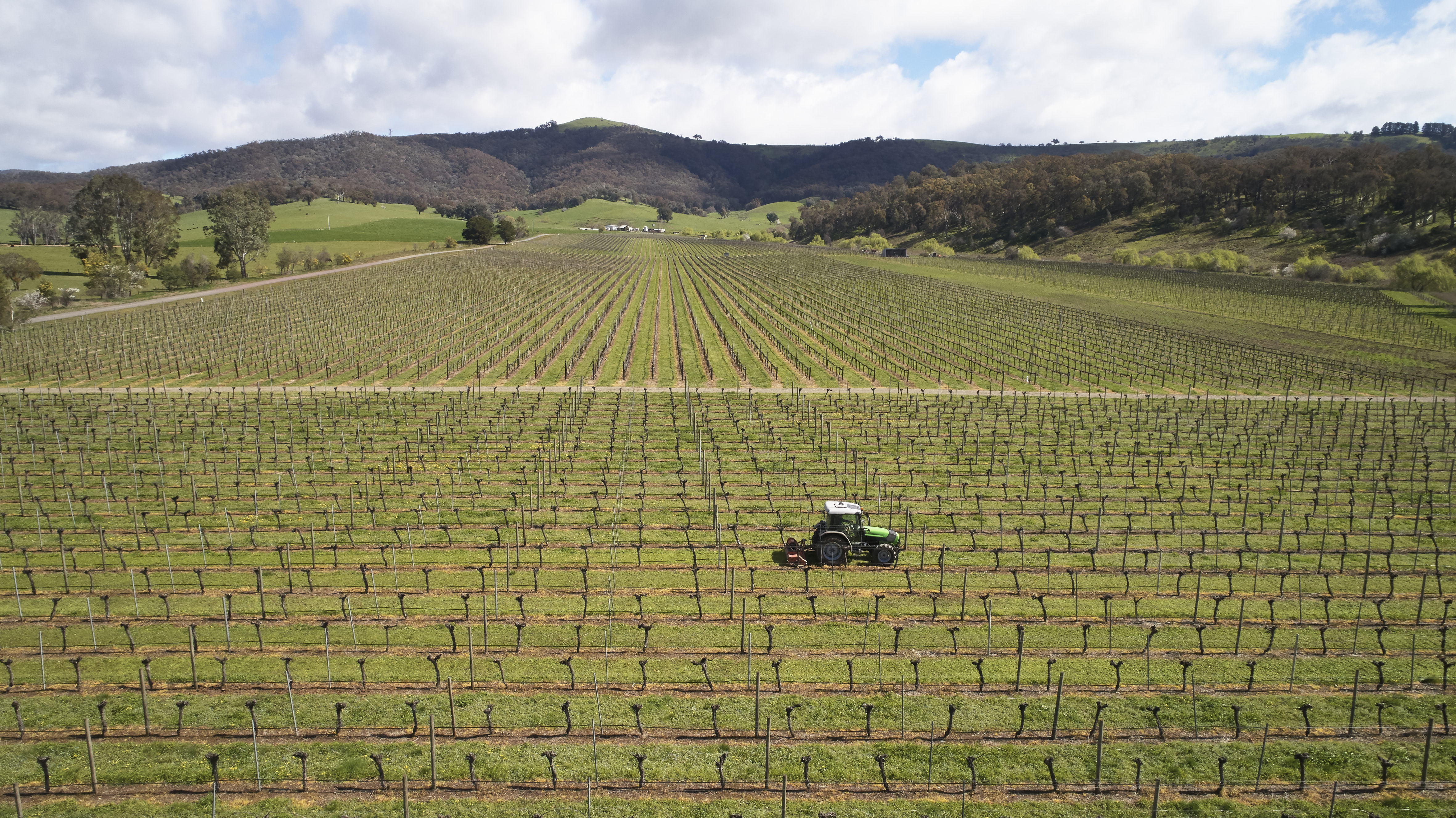 Tractor at the La Cantina King Valley vineyard 